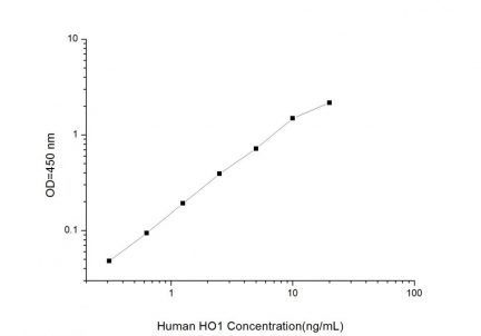 Standard Curve for Human HO1 (Heme Oxygenase 1) ELISA Kit