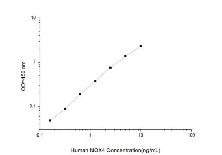 Standard Curve for Human NOX4 (Nicotinamide Adenine Dinucleotide Phosphate Oxidase 4) ELISA Kit