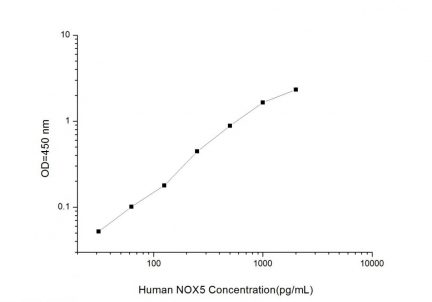 Standard Curve for Human NOX5 (Nicotinamide Adenine Dinucleotide Phosphate Oxidase 5) ELISA Kit