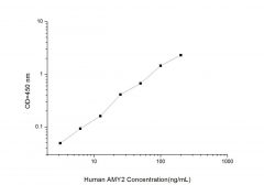 Standard Curve for Human AMY2 (Amylase Alpha 2, Pancreatic) ELISA Kit