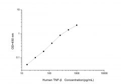 Standard Curve for Human TNF-β (Tumor Necrosis Factor Beta) ELISA Kit
