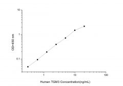 Standard Curve for Human TGM3 (Transglutaminase 3, Epidermal) ELISA Kit