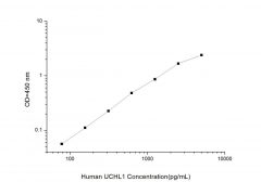 Standard Curve for Human UCHL1 (Ubiquitin Carboxyl Terminal Hydrolase L1) ELISA Kit
