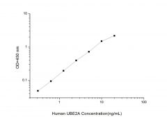 Standard Curve for Human UBE2A (Ubiquitin Conjugating Enzyme E2A) ELISA Kit