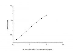 Standard Curve for Human BCAR1 (Breast Cancer Anti Estrogen Resistance 1) ELISA Kit
