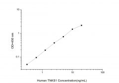 Standard Curve for Human TNKS1 (Tankyrase 1) ELISA Kit