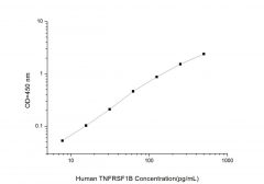 Standard Curve for Human TNFRSF1B (Tumor Necrosis Factor Receptor Superfamily, Member 1B) ELISA Kit
