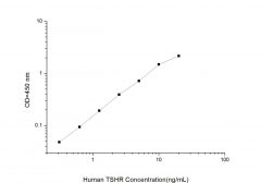 Standard Curve for Human TSHR (Thyroid Stimulating Hormone Receptor) ELISA Kit