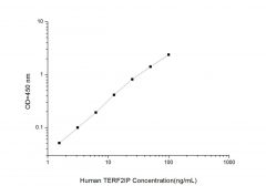 Standard Curve for Human TERF2IP (Telomeric Repeat Binding Factor 2 Interacting Protein) ELISA Kit