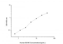 Standard Curve for Human BCHE (Butyrylcholinesterase) ELISA Kit