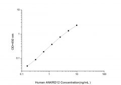 Standard Curve for Human ANKRD12 (Ankyrin Repeat Domain-containing Protein 12) ELISA Kit