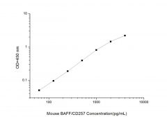 Standard Curve for Mouse BAFF/CD257 (B-cell Activating Factor) ELISA Kit