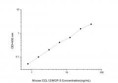 Standard Curve for Mouse CCL12/MCP-5 (Monocyte Chemotactic Protein 5) ELISA Kit