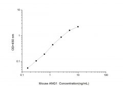 Standard Curve for Mouse ANG1 (Angiopoietin 1) ELISA Kit