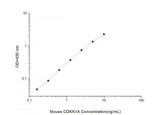 Standard Curve for Mouse CDKN1A (Cyclin Dependent Kinase Inhibitor 1A) ELISA Kit