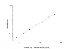 Standard Curve for Mouse Arg (Arginase) ELISA Kit