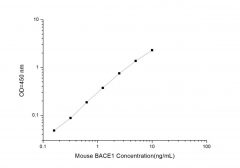 Standard Curve for Mouse BACE1 (Beta Site APP Cleaving Enzyme 1) ELISA Kit