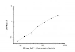Standard Curve for Mouse BMP-1 (Bone Morphogenetic Protein 1) ELISA Kit