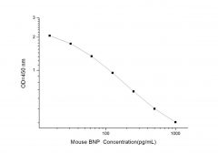 Standard Curve for Mouse BNP (Brain Natriuretic Peptide) ELISA Kit