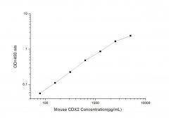 Standard Curve for Mouse CDX2 (Caudal Type Homeobox Transcription Factor 2) ELISA Kit