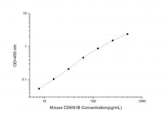 Standard Curve for Mouse CDKN1B (Cyclin Dependent Kinase Inhibitor 1B) ELISA Kit