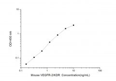 Standard Curve for Mouse VEGFR-2/KDR (Vascuoar Endothelial Growth Factor Receptor 2) ELISA Kit