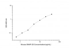 Standard Curve for Mouse SNAP-25 (Synaptosome Associated Protein 25) ELISA Kit
