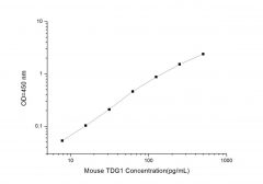 Standard Curve for Mouse TDG1 (Teratocarcinoma Derived Growth Factor 1) ELISA Kit