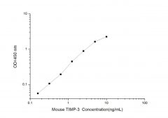 Standard Curve for Mouse TIMP-3 (Tissue Inhibitors of Metalloproteinase 3) ELISA Kit