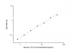 Standard Curve for Mouse 12-LO (Arachidonate 12-Lipoxygenase) ELISA Kit