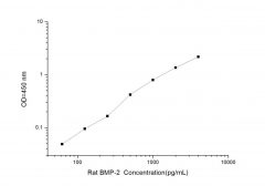 Standard Curve for Rat BMP-2 (Bone Morphogenetic Protein 2) ELISA Kit