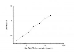 Standard Curve for Rat BACE2 (Beta-Site APP-Cleaving Enzyme 2) ELISA Kit