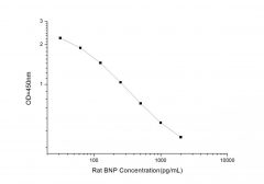Standard Curve for Rat BNP (Brain Natriuretic Peptide) ELISA Kit