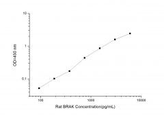 Standard Curve for Rat BRAK (Breast And Kidney Expressed Chemokine) ELISA Kit