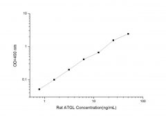 Standard Curve for Rat ATGL (Adipose Triglyceride Lipase) ELISA Kit