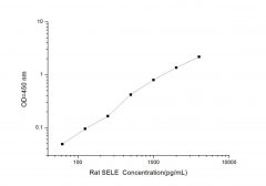 Standard Curve for Rat SELE (E-Selectin) ELISA Kit