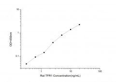Standard Curve for Rat TFR (Transferrin Receptor) ELISA Kit