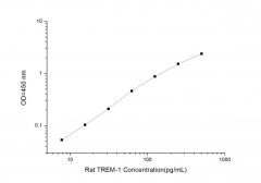 Standard Curve for Rat TREM-1 (Triggering Receptor Expresses on Myeloid Cells-1) ELISA Kit