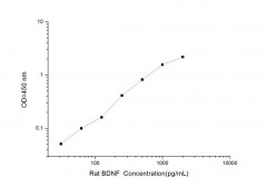 Standard Curve for Rat BDNF (Brain Derived Neurotrophic Factor) ELISA Kit