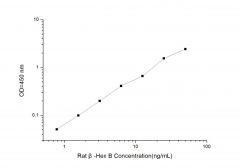 Standard Curve for Rat β-Hex B (β-hexosaminidase B) ELISA Kit