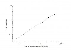 Standard Curve for Rat XOD (Xanthine Oxidase) ELISA Kit