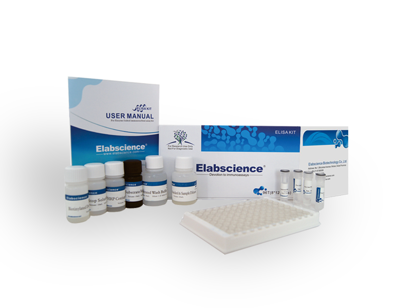 24% off Popular ELISA Kits from Elabscience – Ends March 9th, 2018