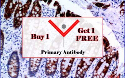 Buy 1, Get 1 Free – Elabscience Primary Antibody Promotion – Extended until June 12th, 2018