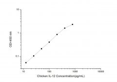 Standard Curve for Chicken IL-12 (Interleukin 12) ELISA Kit