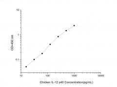 Standard Curve for Chicken IL-12 p40 (Interleukin 12 p40) ELISA Kit