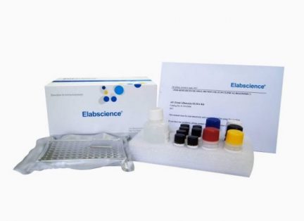 Elabscience ELISA Kit image 4