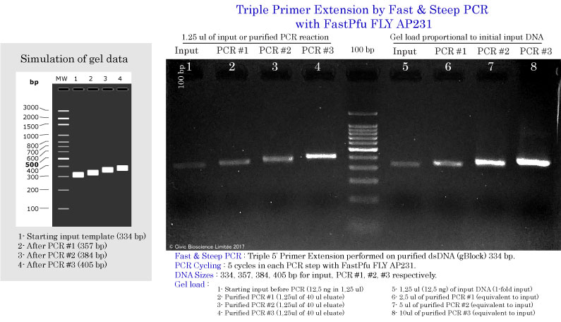 CreiLOV Triple Primer Extension by Fast & Steep PCR with FastPfu FLY