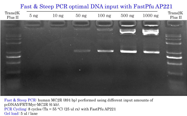 Fast & Steep PCR optimal input with FastPfu AP221