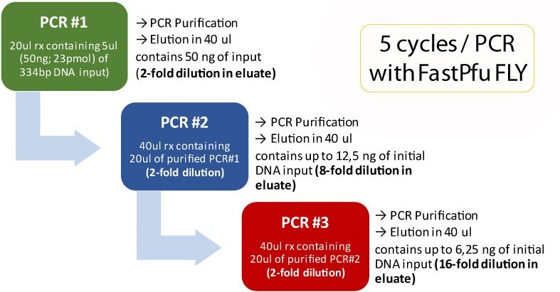 Workflow of Triple primer extension using Fast & Steep PCR