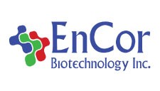 EnCor logo 225x128